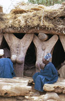 Quelque part en Afrique, des piliers sculptés soutiennent le toit d'une habitation.  JPEG - 10.2 ko