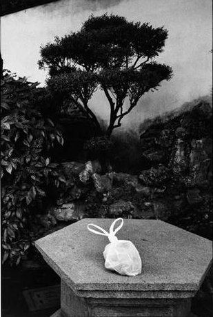 " Le lièvre", mise en scène photographique d'un sachet en plastique noué par ses anses et posé sur une table.  JPEG - 37.4 ko