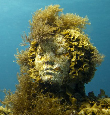 Les algues du fond de la mer deviennent chevelure en s'incrustant sur la tête de l'une des sculptures de Jason de Caires Taylor.  JPEG - 56.5 ko