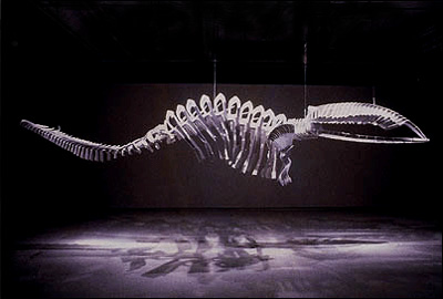Sculpture en forme de squelette de baleine jurassique, composé de chaises de jardin en résine blanche, imbriquées les unes dans les autres. le squelette est en suspension au-dessus du public.  JPEG - 40.1 ko