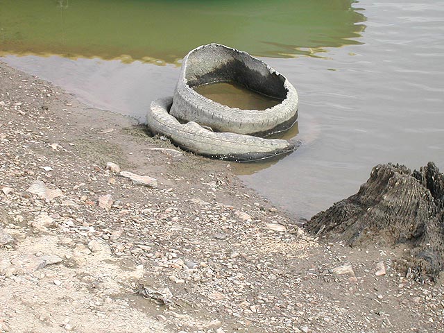 Pneus abandonnés sur le rivage.  JPEG - 91.2 ko